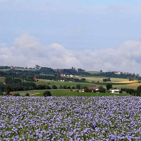 Ferienhof Neundlinger Niederwaldkirchen Esterno foto