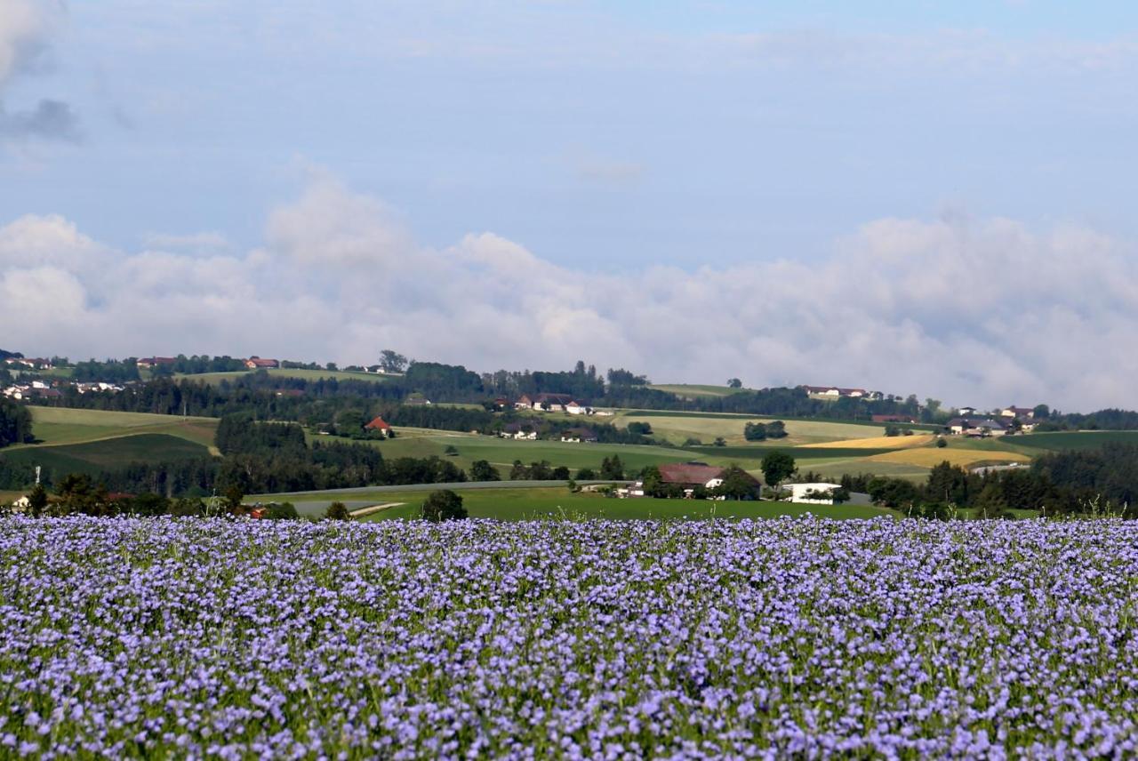 Ferienhof Neundlinger Niederwaldkirchen Esterno foto